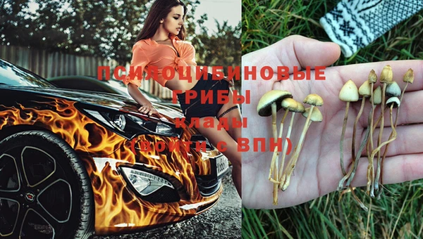 твердый Беломорск