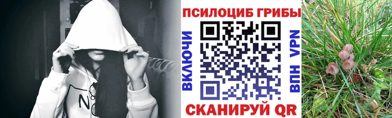 Галлюциногенные грибы MAGIC MUSHROOMS  наркота  Буй 