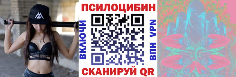 Галлюциногенные грибы Cubensis Буй
